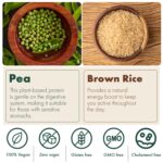 Veplants Vegan Protein Powder