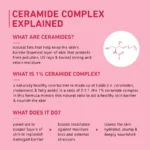 Oat & 1% Ceramide Face Cream for Dry Skin