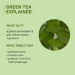 Green Tea Oil-Free Moisturizer for Oily Skin - Image 9