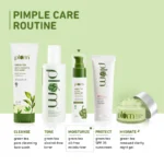 Green Tea Oil-Free Moisturizer for Oily Skin - Image 5