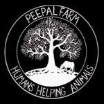 Desi Log Desi Dog T-shirt - Image 7