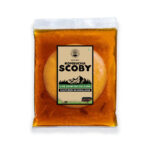 Kombucha SCOBY and Starter Tea - Image 5