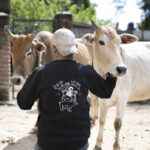 Big or Small We Love Them All Sweatshirt