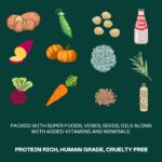 Veg Adult Dog Food 100% Natural Plant-Based Meat-Free for All Breeds This Vet-formulated Veg Dry Kibble high Protein and Fiber Providing Complete Nutrition 1kg Pack - Image 8