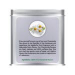 The Tea Shore Chamomile Tea, 50g | Whole chamomile flowers from the Foothills of Himalayas | Pure Whole Flower Buds of Chamomile || SLEEP TEA & STRESS RELIEF || Herbal Tea - Caffeine Free Visit the THE TEA SHORE Store - Image 3