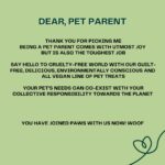 Wet Dog Food Real Veggies Ready to Eat Pet Food Human-Grade Ingredients, 100% Natural & Preservative-Free Vegan Dog Food for Puppies & Adults - Image 6