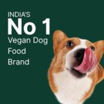 Veg Adult Dog Food 100% Natural Plant-Based Meat-Free for All Breeds This Vet-formulated Veg Dry Kibble high Protein and Fiber Providing Complete Nutrition 1kg Pack - Image 9