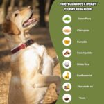 Wet Dog Food Real Veggies Ready to Eat Pet Food Human-Grade Ingredients, 100% Natural & Preservative-Free Vegan Dog Food for Puppies & Adults - Image 4