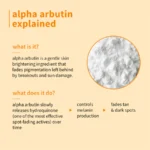 2% Alpha Arbutin & Hyaluronic Acid Tan Fading Face Serum - Image 11