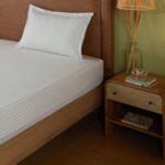 Bloomshire Classic | Everyday Charm Printed Cotton Bedsheet Set-Blue