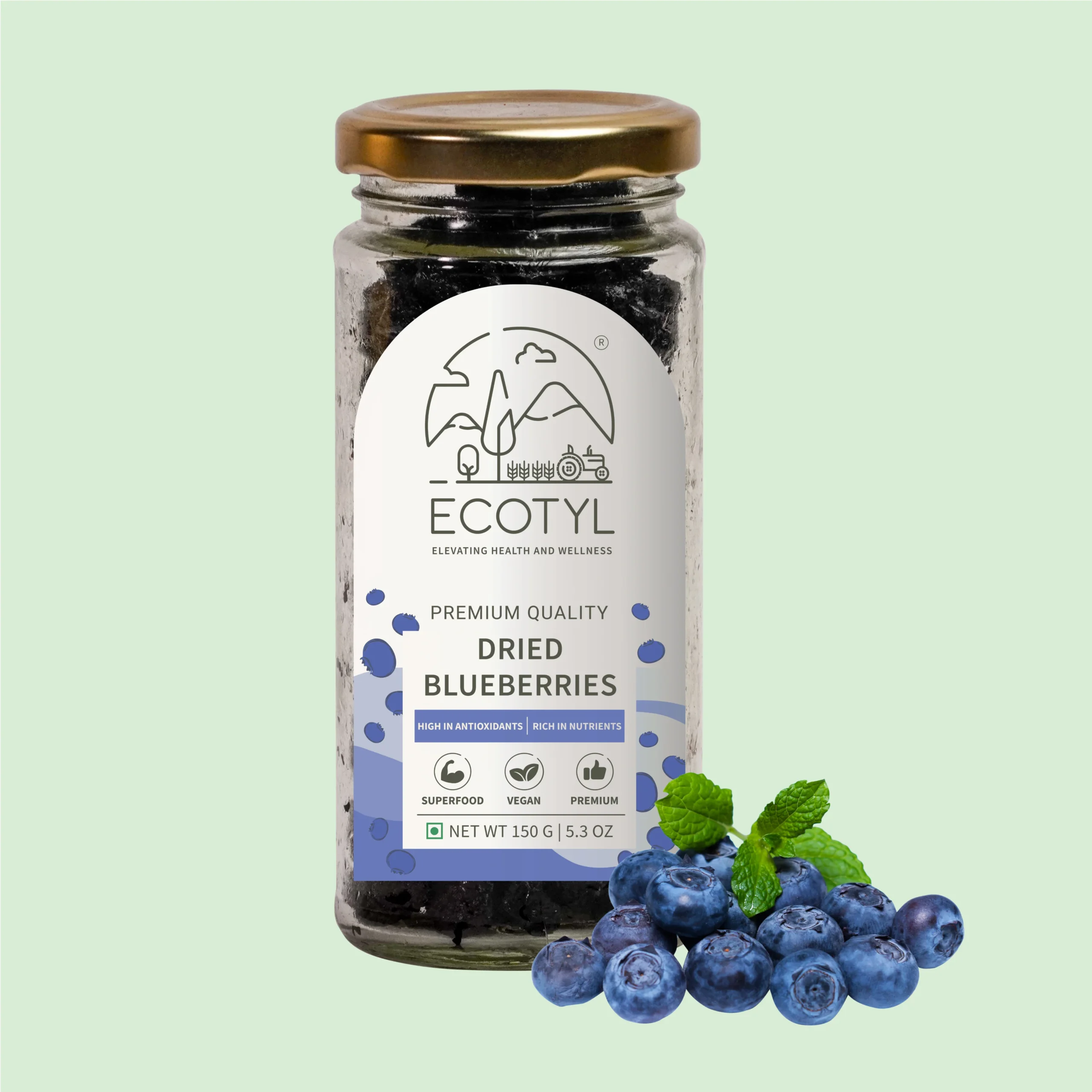 DRIEDBLUEBERRIES1-scaled-1.webp Premium Quality Natural Dried Blueberries – Antioxidant-Rich Healthy Snack - Image 1