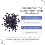 Premium Quality Natural Dried Blueberries – Antioxidant-Rich Healthy Snack - Image 2