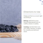 Premium Quality Natural Dried Blueberries – Antioxidant-Rich Healthy Snack - Image 4