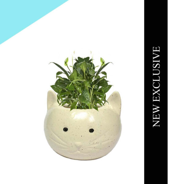 White Cat Ceramic Planter Pot Without Plant