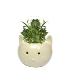 White Cat Ceramic Planter Pot Without Plant - Image 2