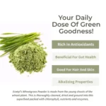 Ecotyl Organic Wheatgrass Powder – 100 g Superfood for Detox & Immunity - Image 2