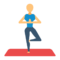 Yoga & Fitness Accessories