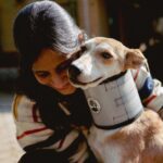 Peepal Farm Dog and Cat Surgery Collars - Image 2