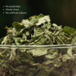 Organically Grown Mint (20 g), Farm Grown, Shade Dried - Image 4