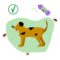 Tick & Flea Care