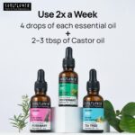 Magic Oils for 3x Hair Boost - Image 6