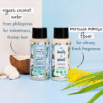 Coconut Water & Mimosa Flower Shampoo + Conditioner Combo - Image 3