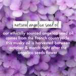 Rice Water & Angelica Seed Oil Shampoo + Conditioner  Combo - Image 6