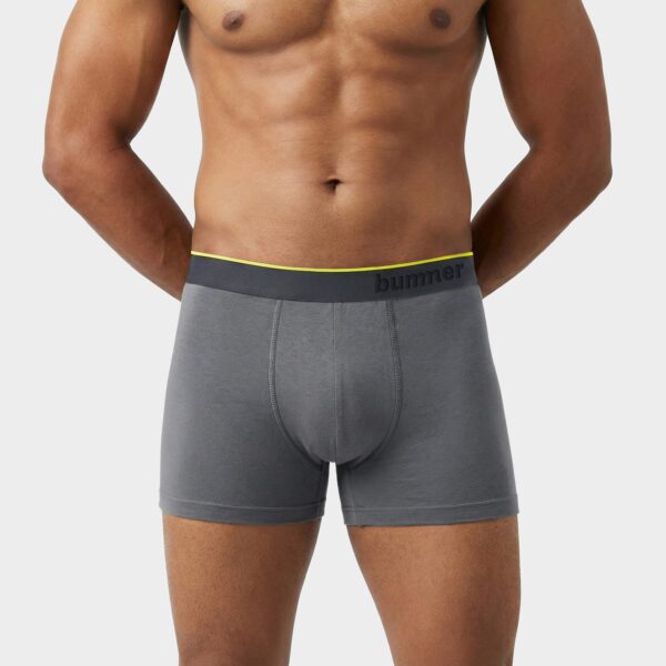 Trunks - Basalt