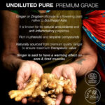 Ginger Essential Oil for Sore Muscles - Image 7