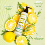 Rosemary & Yuzu Lemon Anti Dandruff Scalp Conditioning Treatment - 200ml - Image 3