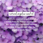 Rice Water & Angelica Seed Oil Hair Mask - Image 5