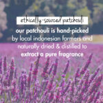 Onion, Black Seed Oil & Patchouli Hair Mask - Image 5