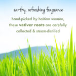 Tea Tree Oil, Peppermint & Vetiver Shampoo - 200 ml - Image 5