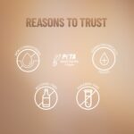 Oil Control Compact Powder - Image 7