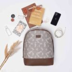 Aravalli Abstract Dome Daypack