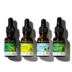 Lemon, Eucalyptus, Tea Tree & Peppermint Oils Set - Image 2