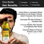 Bhringraj & Rosemary Oil For Stress Hair Fall - Image 5