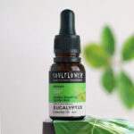 Eucalyptus (Nilgiri) Essential Oil for Cough & Cold - Image 6