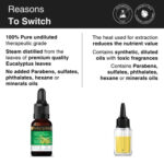 Eucalyptus (Nilgiri) Essential Oil for Cough & Cold - Image 4