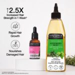 Rosemary Essential Oil + Lightweight Mint Hair Oil - Image 12