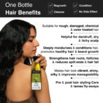 Cold Pressed Olive Oil for Nourished Hair and Skin BYOB - Image 5