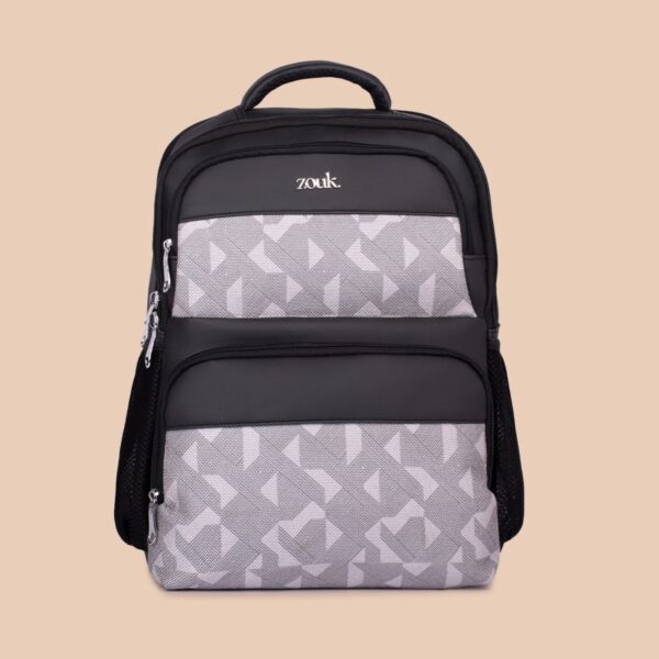 Aravalli Abstract Pro Backpack