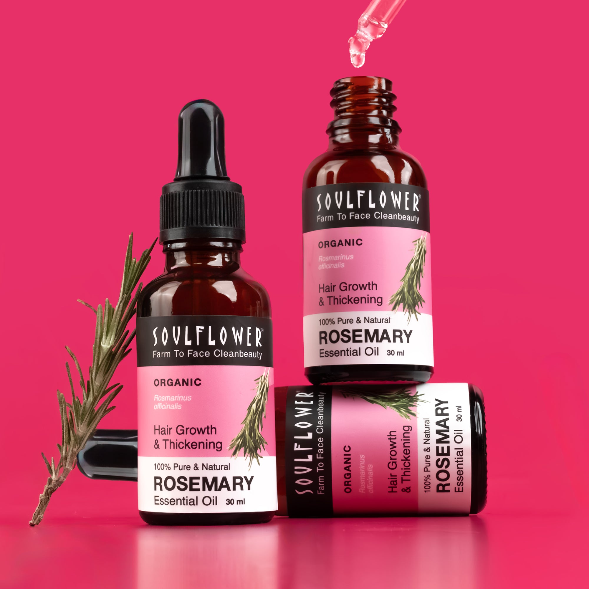 ROSEMARY_EO_680050d4-03e3-4ae0-b65e-0dab68be8592.jpg Clinically Tested Rosemary Essential Oil for Hair Growth (testing product) - Image 1
