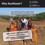 Soulflower Rosehip Oil | Cold Pressed Face & Skin Oil - Image 11