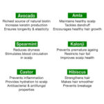 Rosemary Essential Oil + Lightweight Mint Hair Oil - Image 6