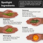 Rosemary Redensyl Hair Growth Serum BYOB - Image 5