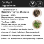 Rosemary Tea Tree Shampoo - Image 5