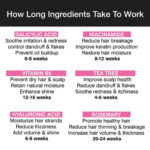 Rosemary Tea Tree Shampoo - Image 7