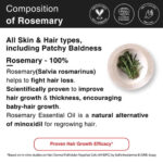 Clinically Tested Rosemary Essential Oil for Hair Growth (30ml * 3) - Image 9