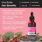 Clinically Tested Rosemary Essential Oil for Hair Growth (30ml * 3) - Image 3